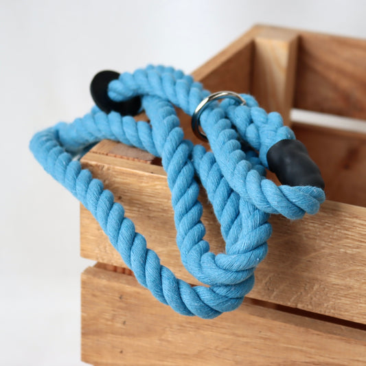 Sky Blue Slip Collar Lead