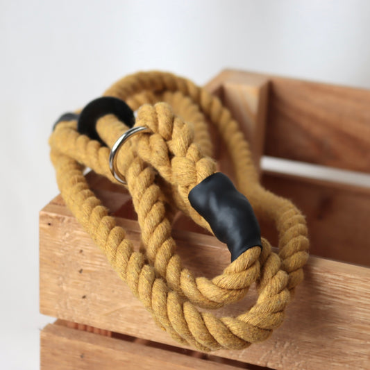 York Gold Slip Collar Lead