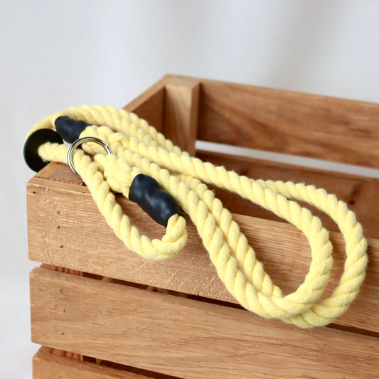 Yellow Slip Collar Lead