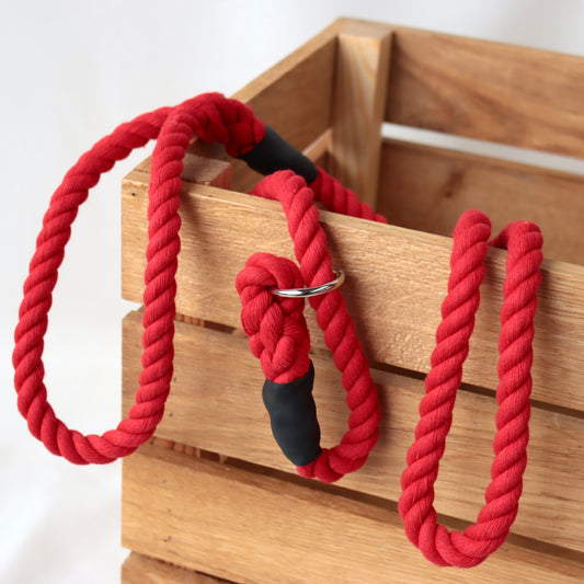Red Slip Collar Lead