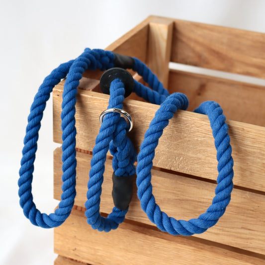 Royal Blue Slip Collar Lead