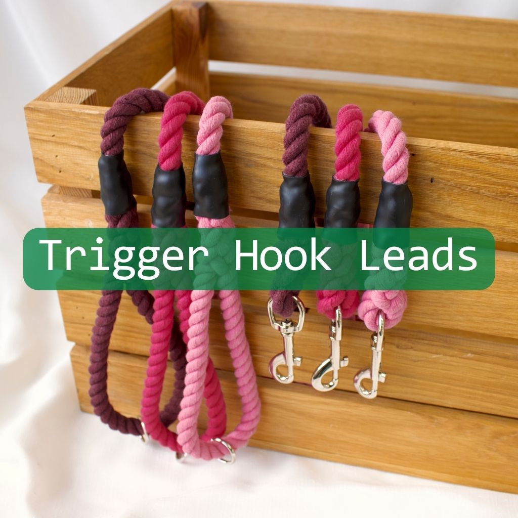 Signature Trigger Hook Leads
