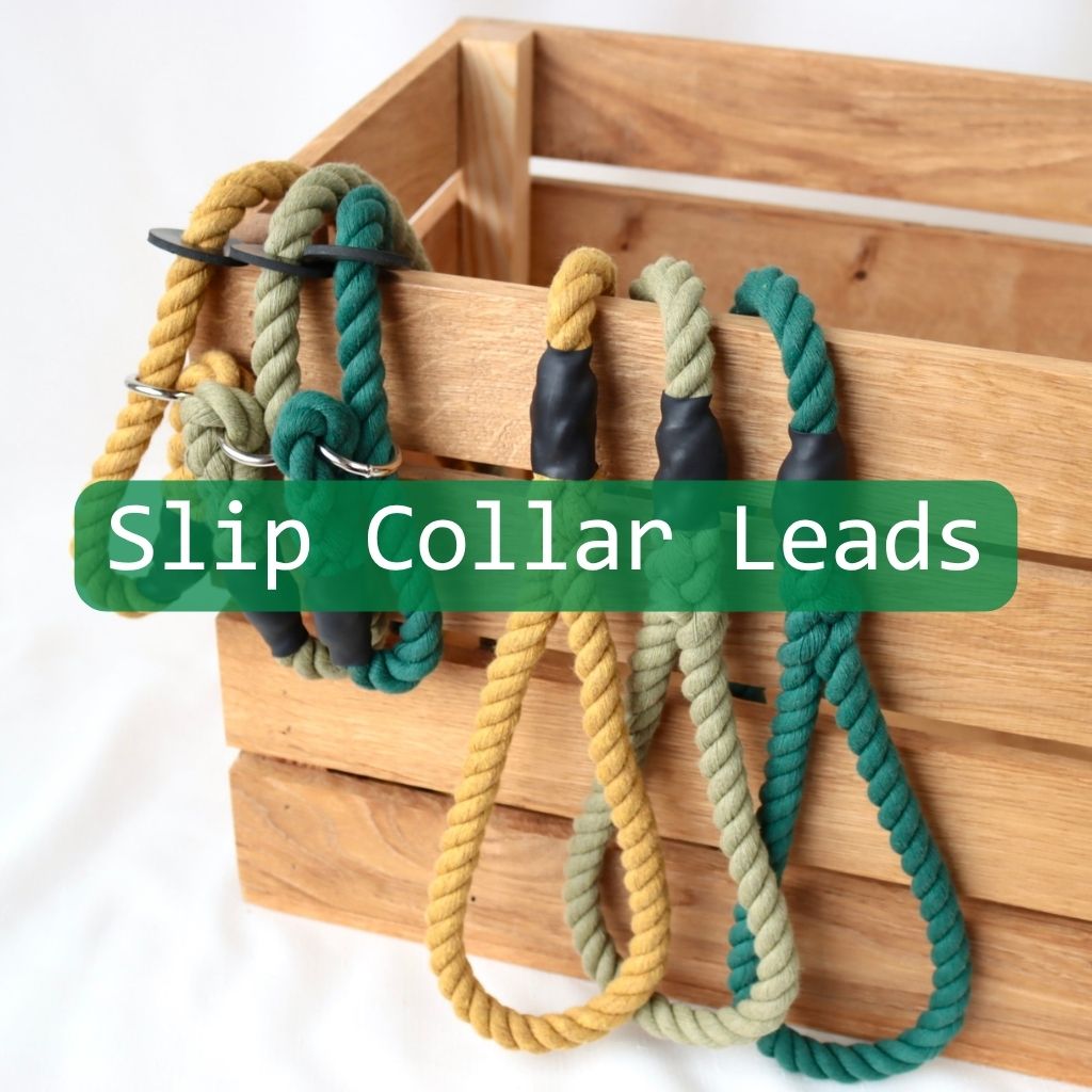 Signature Slip Leads
