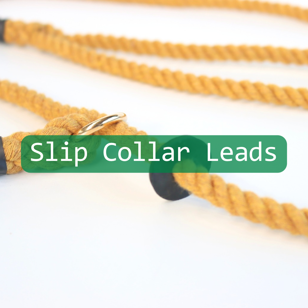 Signature Slip Leads