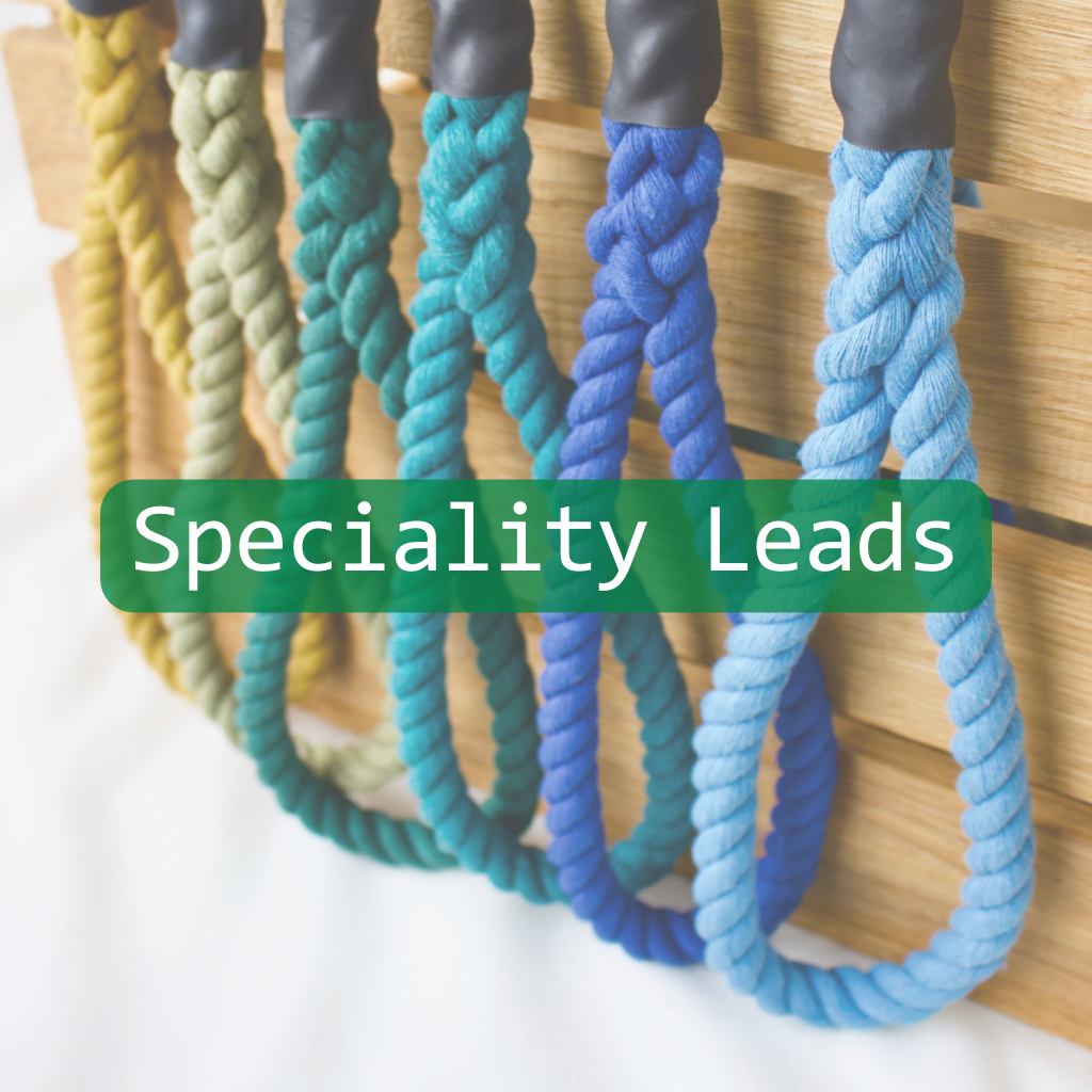 Speciality leads