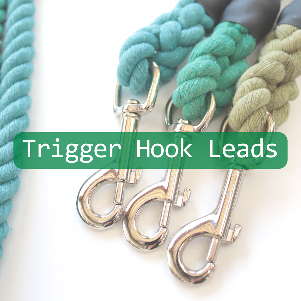 Signature Trigger Hook Leads