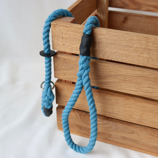 Sky Blue Slip Collar Lead
