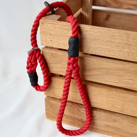 Red Slip Collar Lead