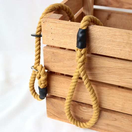 York Gold Slip Collar Lead