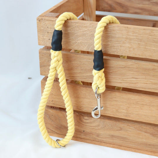 Yellow Trigger Hook Lead